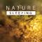 Sleeping Nature – Healing Music for Relaxation, Stress Relief, Sounds of Water, Singing Birds, Natur专辑