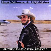 Hank Williams, Jr - Whiskey on Ice (Karaoke Version) 带和声伴奏