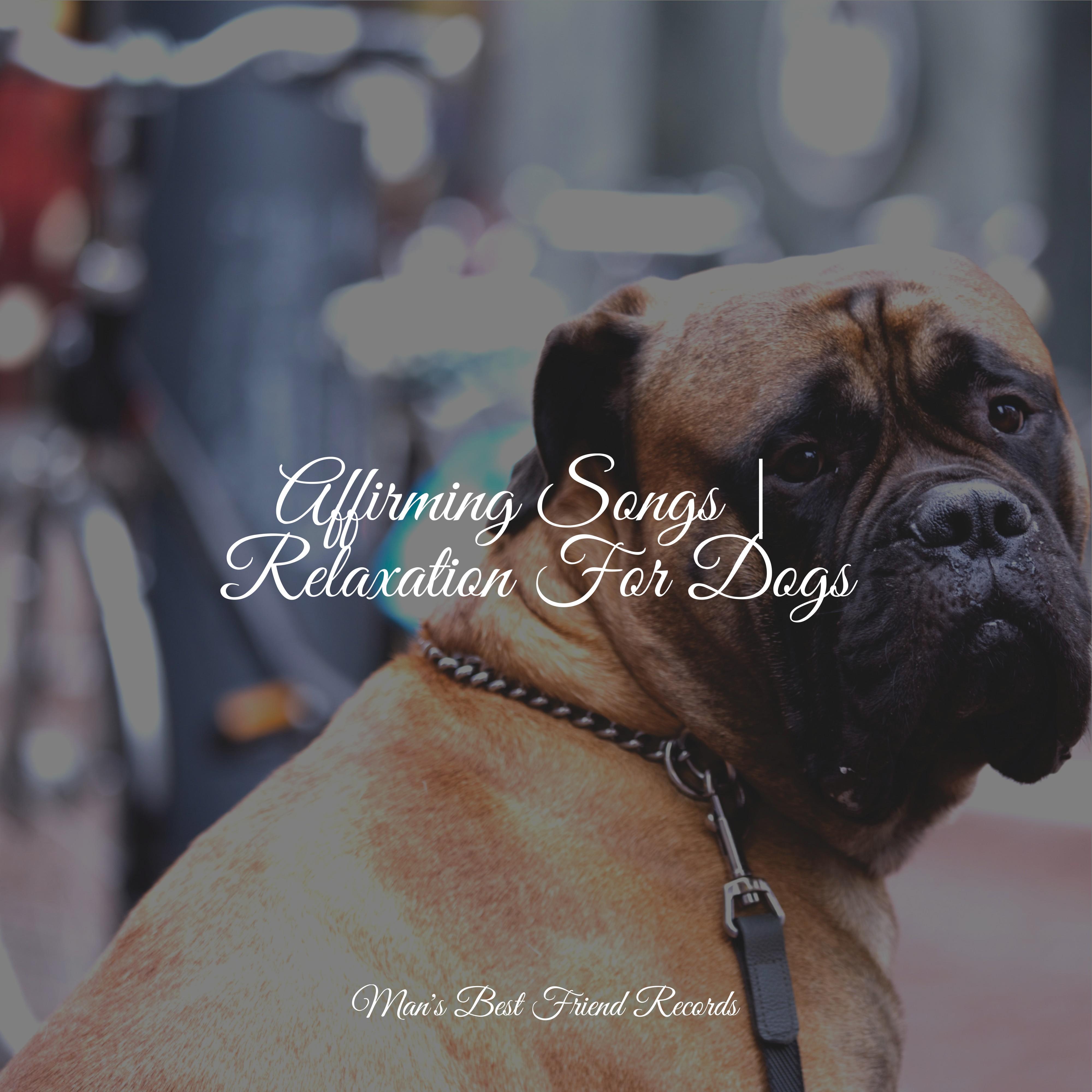 Music For Dogs Peace - Meditating Music