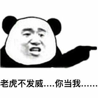 大张伟天天过春晚
