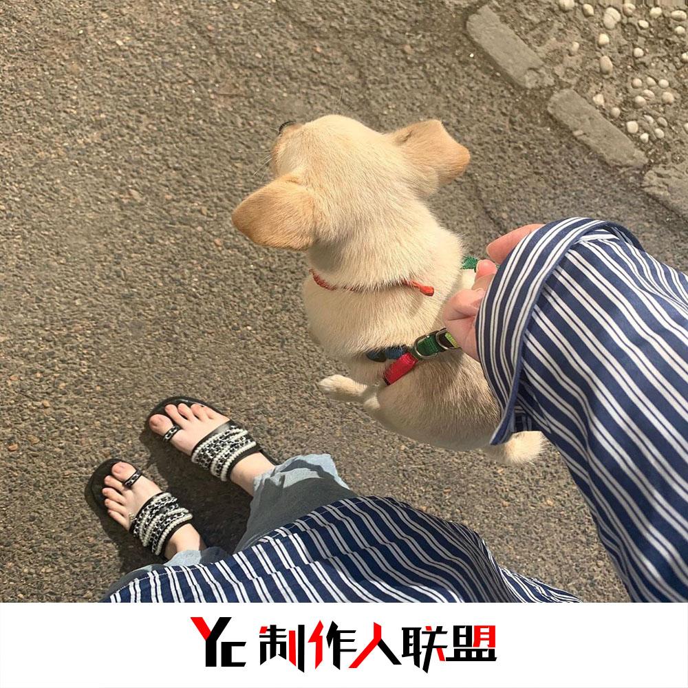 Вечера(纯音伴奏)