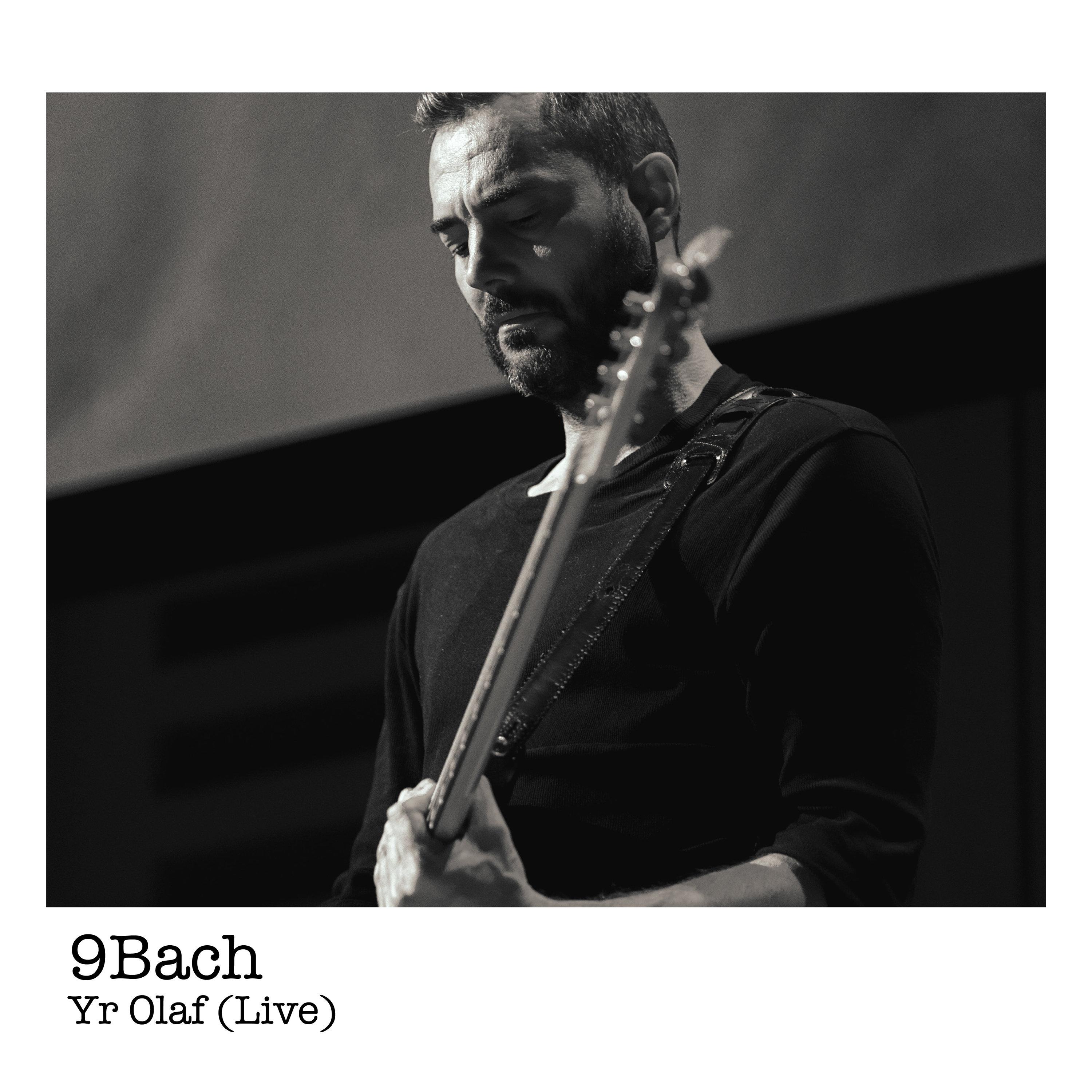Yr Olaf (Live)