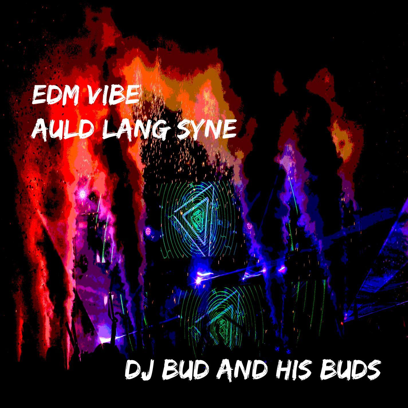 edm vibe auld lang syne
