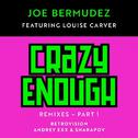 Crazy Enough (RetroVision Remix)专辑