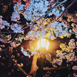 余生最漫长的旅途