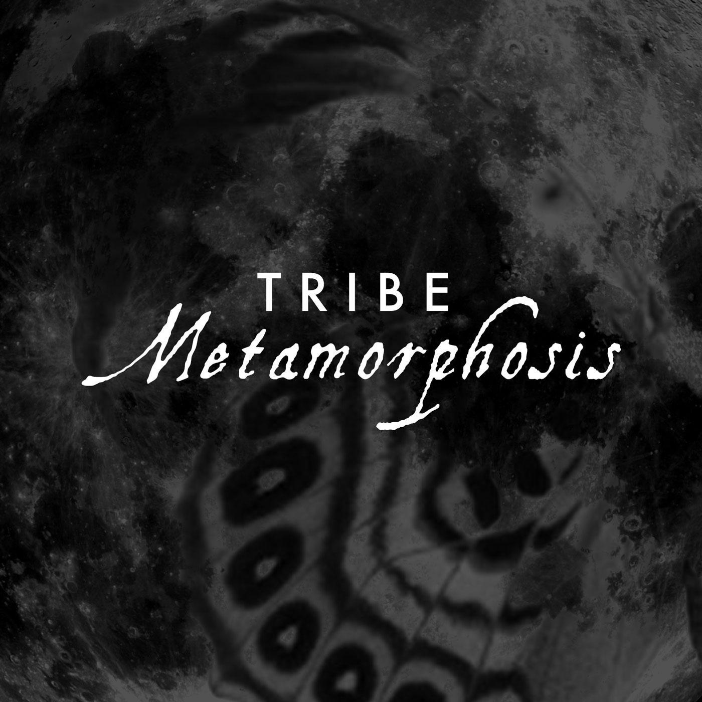 Metamorphosis