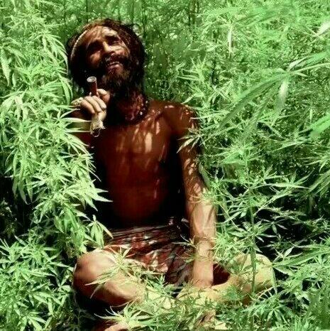 『Reggae』