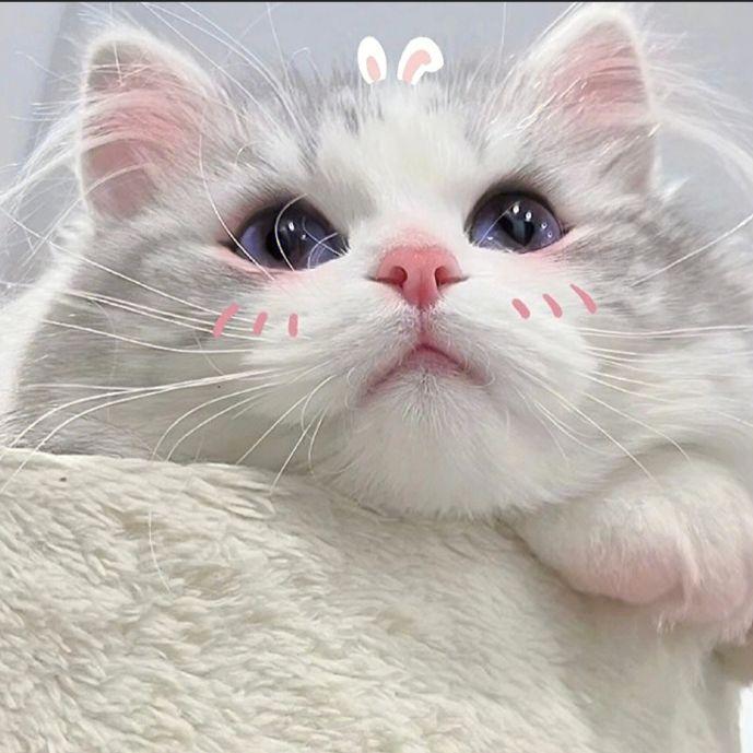 邂逅在缤纷时刻