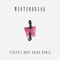 Winterbreak (Tiesto's Deep House Remix)专辑