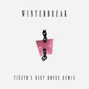 Winterbreak (Tiesto's Deep House Remix)