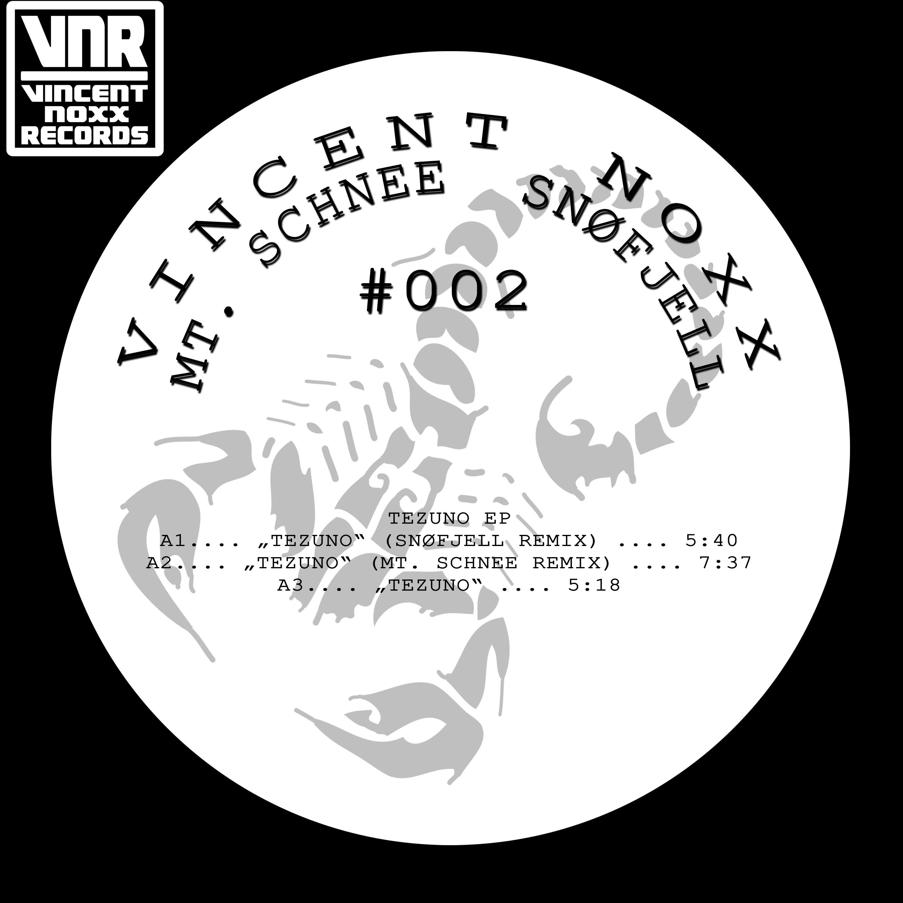 Tezuno (Mt. Schnee Remix)