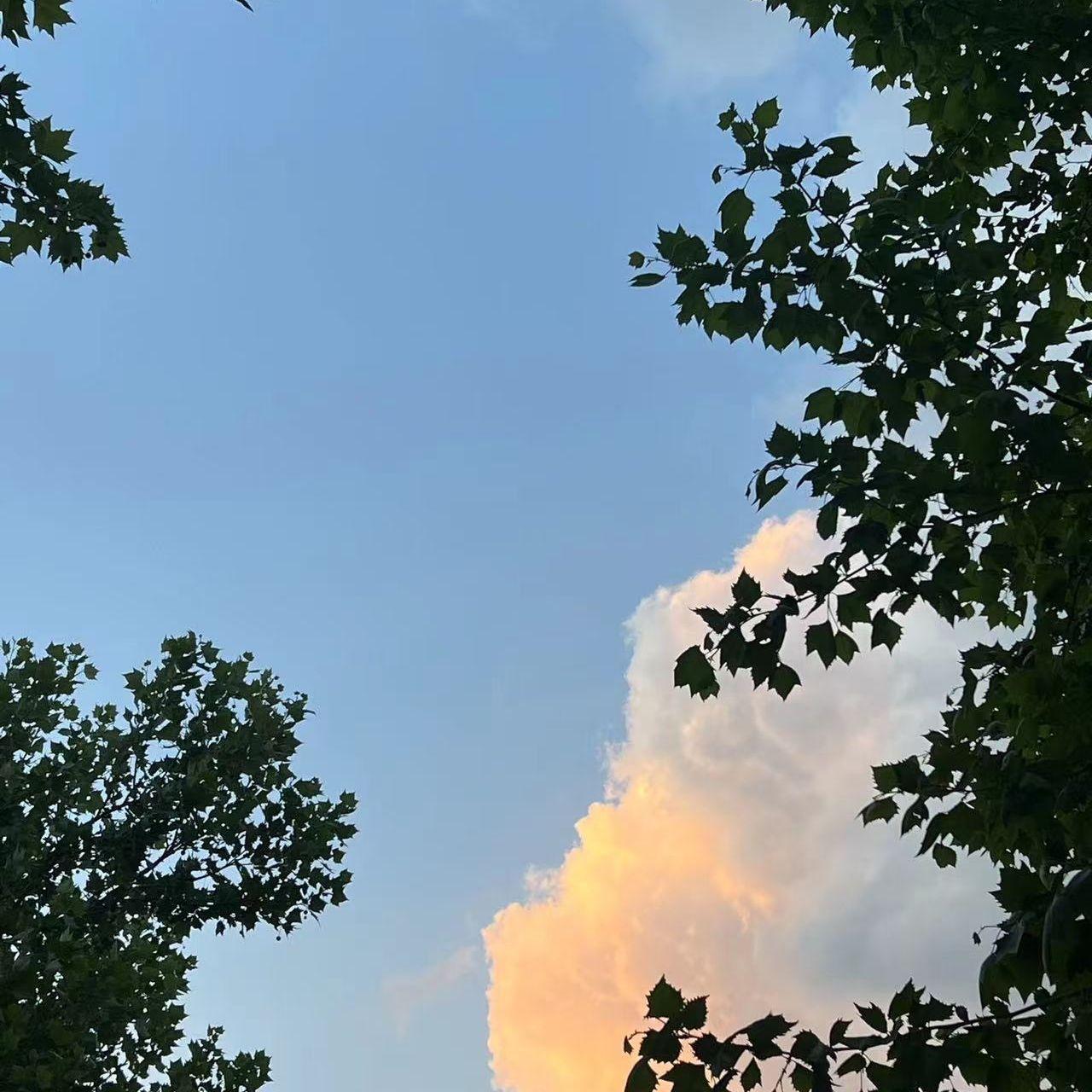 会到的 (Prod. by Realism）