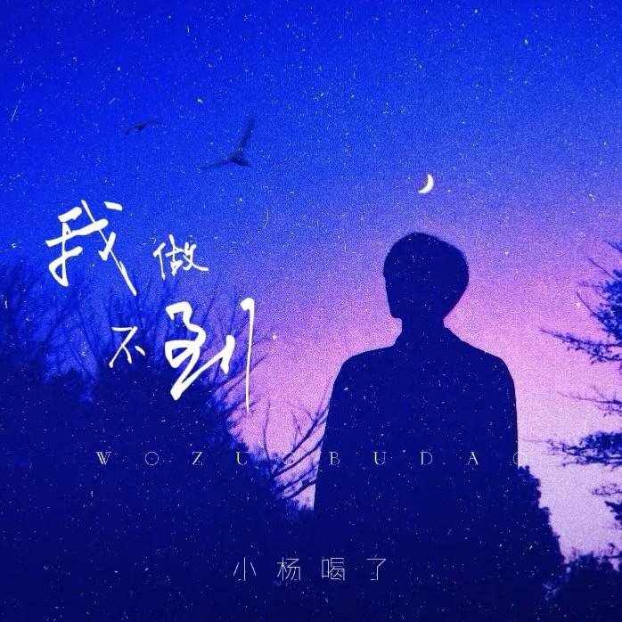 我做不到