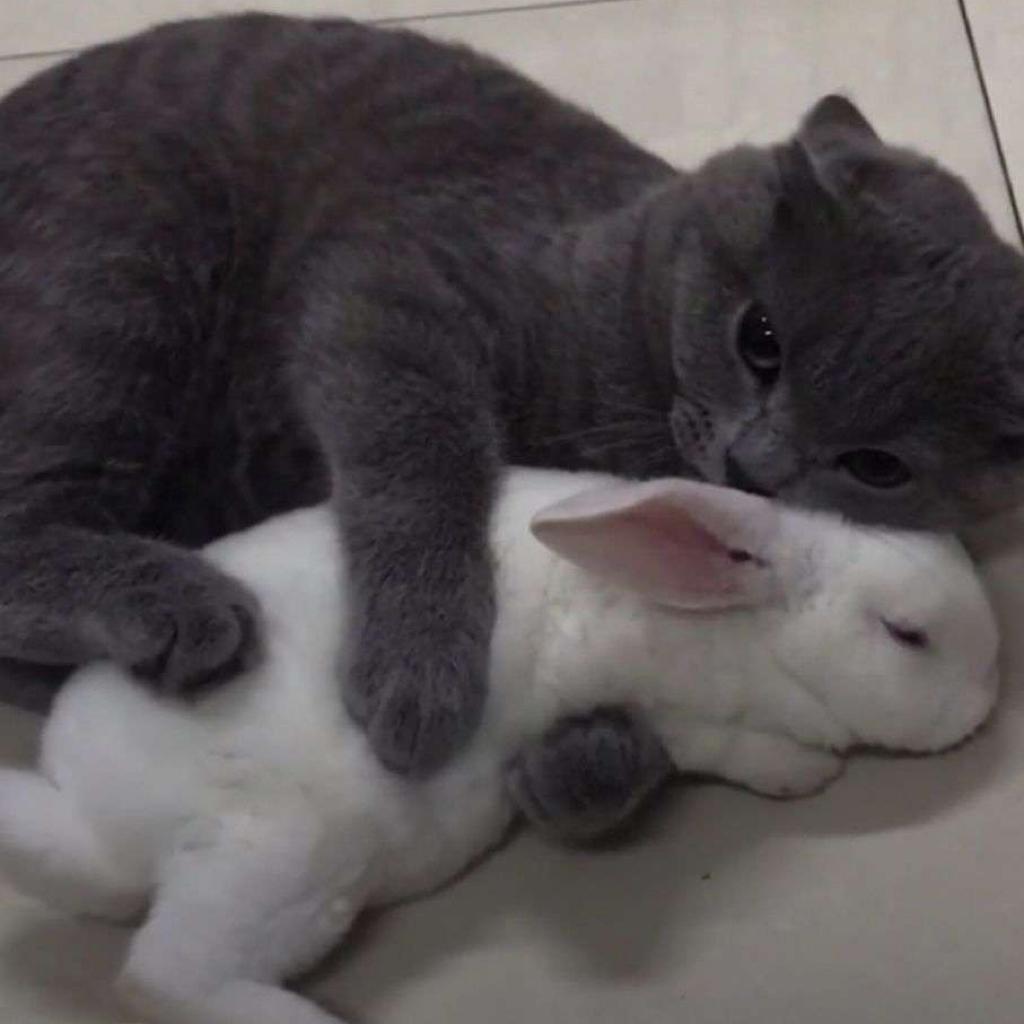 你还有遗憾吗