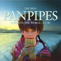 The Best Pan Pipes in the World...Ever!专辑