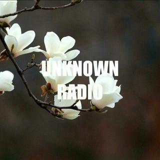 Unknown Radio
