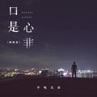 半吨兄弟 - 口是心非 (烟嗓版纯伴奏)
