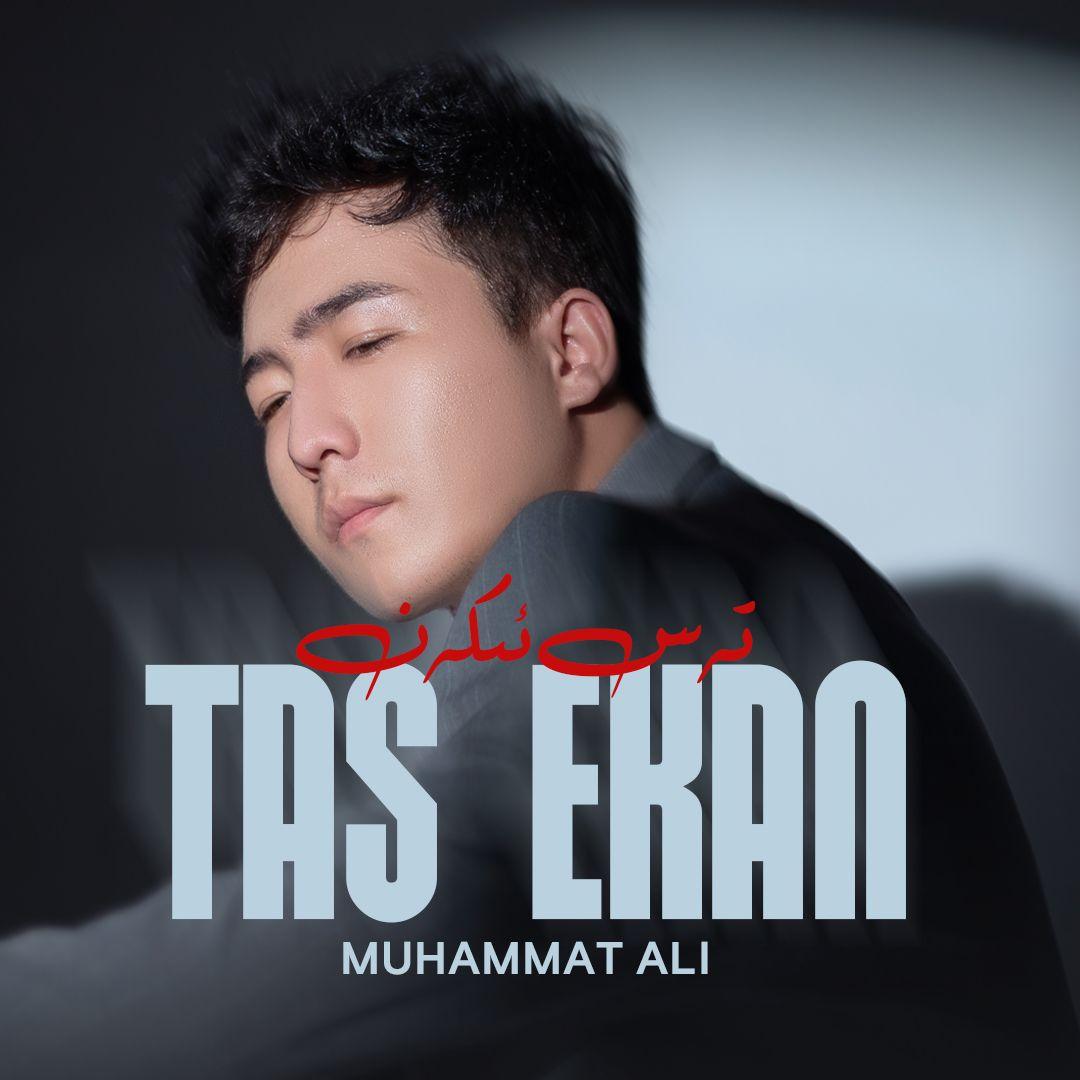tas ekan(太难了）