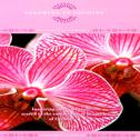 Dreaming Of Orchids - The Power Of Flowers 1