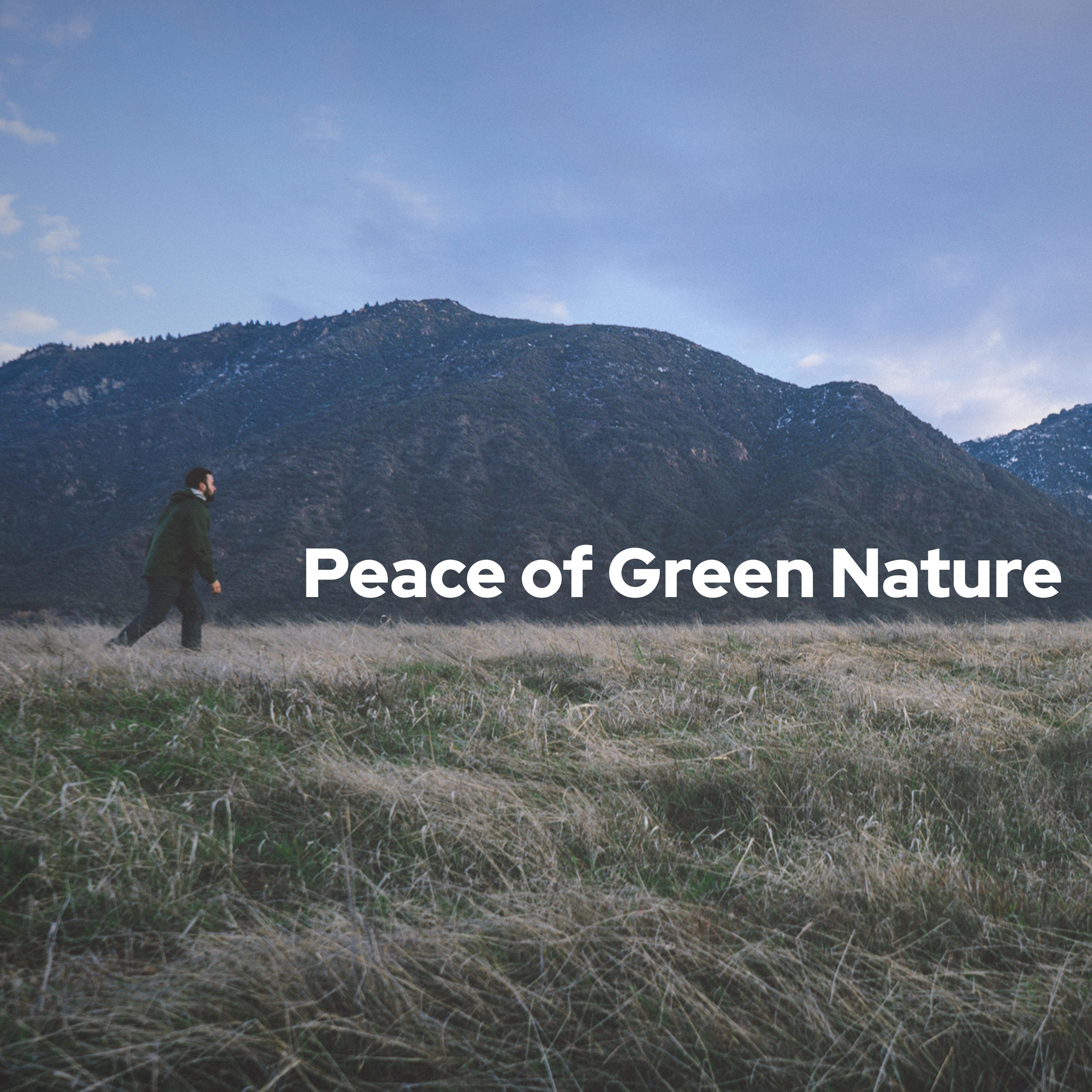 Peace of Green Nature – Music for Total Relaxation, Feel Better, Spirit of Harmony, Pure Energy