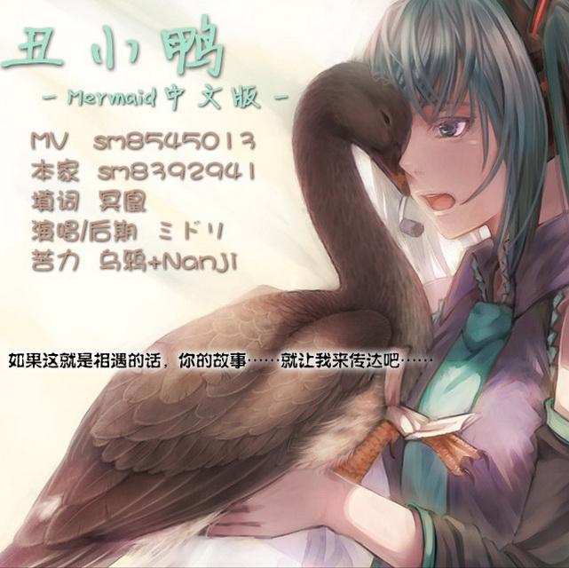 丑小鸭