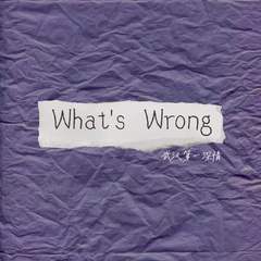 What's Wrong（Prod.misogyny）