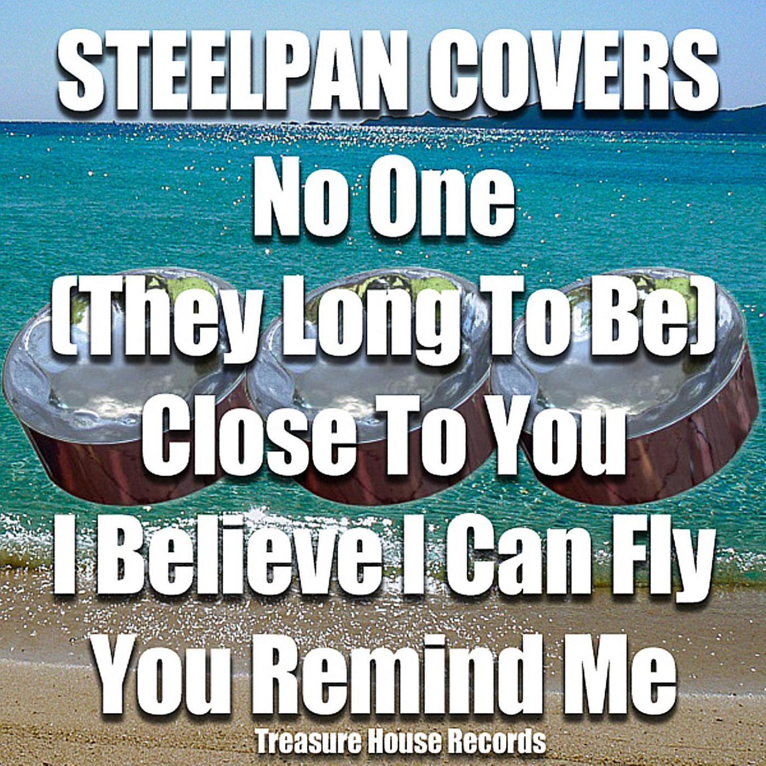 Steelpan Covers