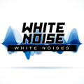 White Noise: White Noises