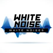 White Noise: White Noises