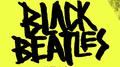 Black Beatles (Madsonik Remix)专辑