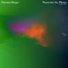 Hannes Bieger - Poem for the Planet (Christopher Coe Remix)