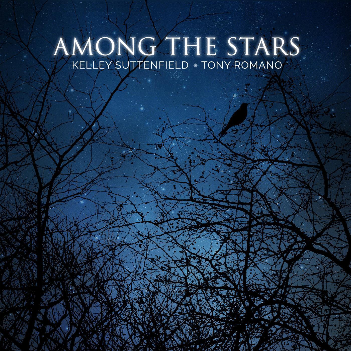 Kelley Suttenfield - Try Your Wings (feat. Tony Romano)
