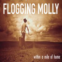 Flogging Molly - Tobacco Island (Karaoke Version) 带和声伴奏