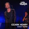 Ozark Henry - Joan Of Arc - Uit Liefde Voor Muziek (Live)