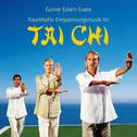 Tai Chi: Traumhafte Entspannungsmusik专辑