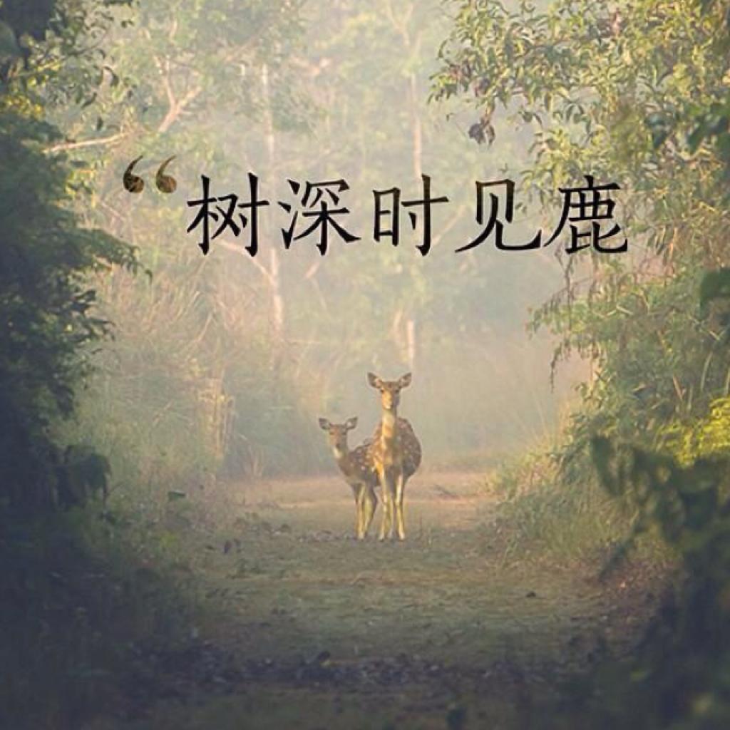 关于民谣，无关爱情。