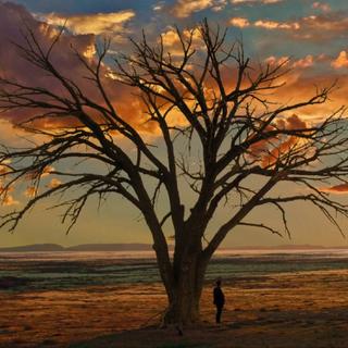 荒野大镖客 骏马奔腾 疾驰如风