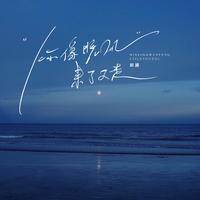 王传越 - 骆驼草(原版立体声伴奏)