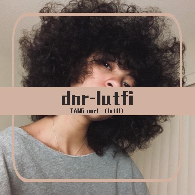 dnr-lutfi（车载）