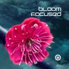 Bloom Focused - Keeping Things Forever