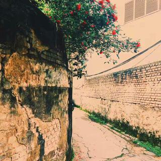 一个人的纯音乐