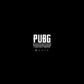 PUBG 枪声音乐