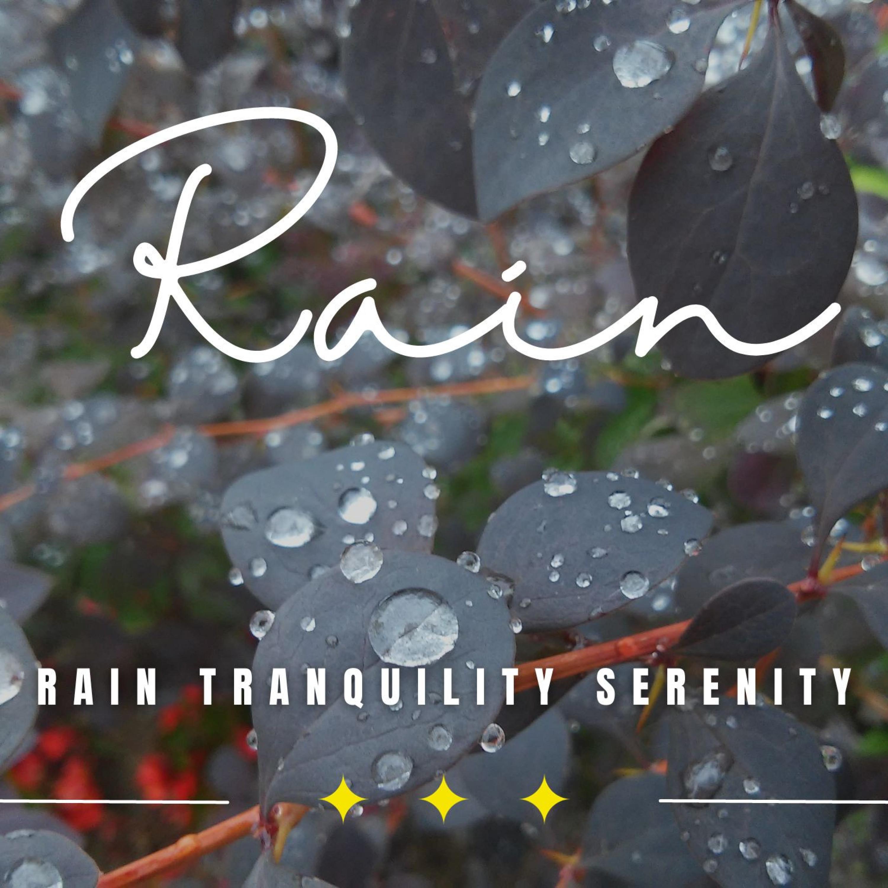 Rain Sounds Nature Collection - Rainfall Focus Soundscapes