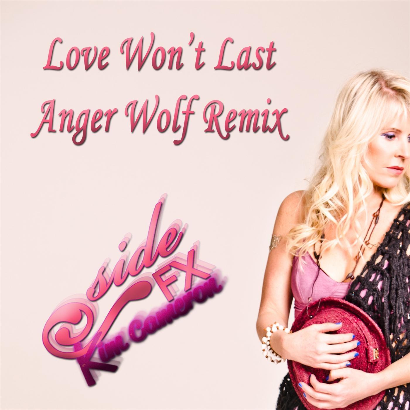 Love Won't Last (Anger Wolf Remix)