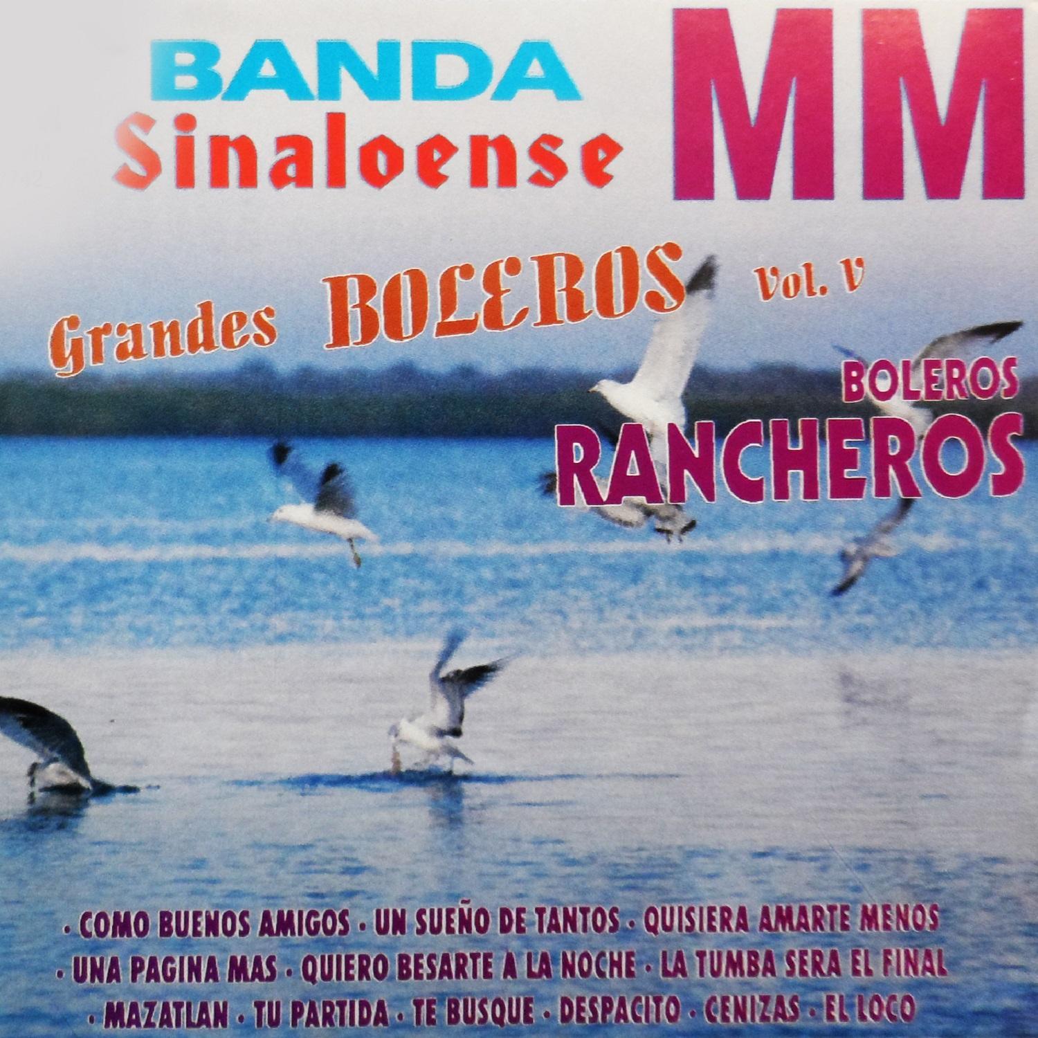 Grandes Boleros, Vol. 5