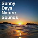 Sunny Days Nature Sounds专辑