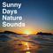 Sunny Days Nature Sounds专辑