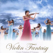 Violin Fantasy