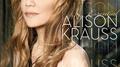 Essential Alison Krauss专辑
