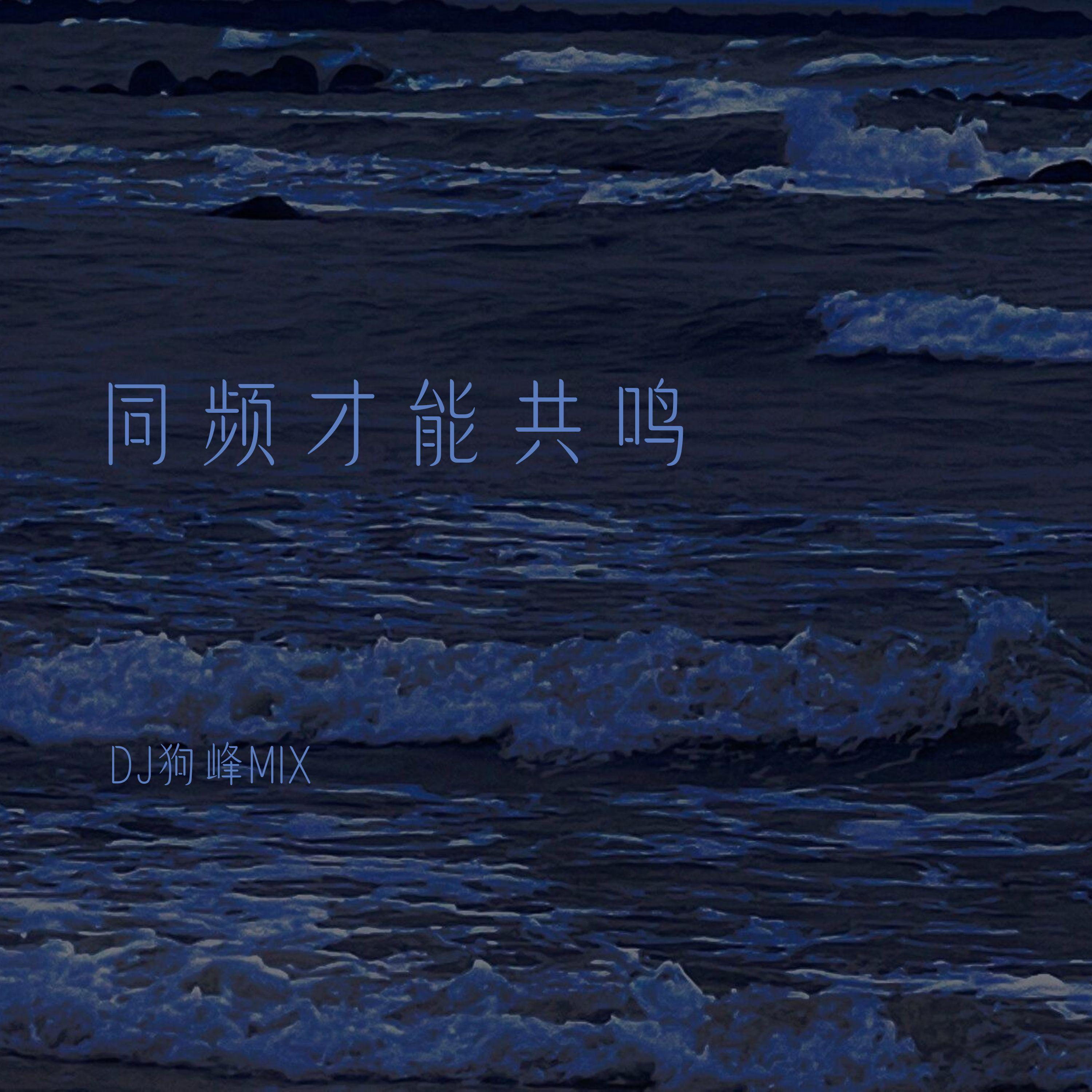 同频才能共鸣专辑